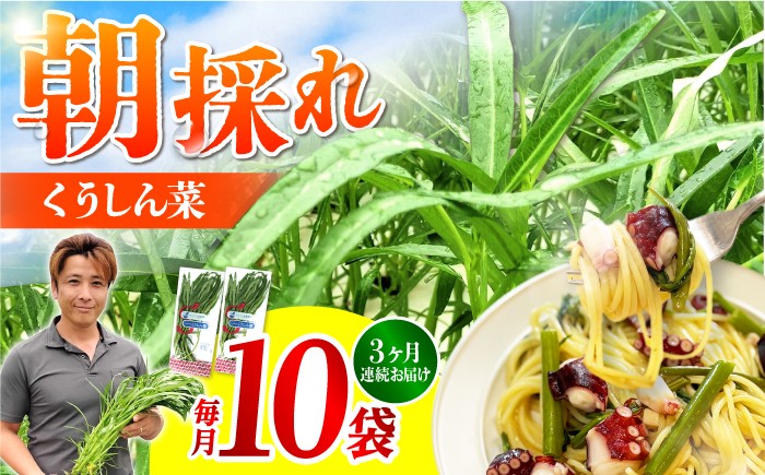 
                  【3回定期便】新鮮朝採れ くうしん菜 計30袋 / 野菜 定期便 葉物野菜 水耕栽培 産地直送 野菜定期便 サラダ エンサイ ヨウサイ 国産 新鮮 野菜 鮮度抜群 小分け 詰め合わせ まとめ買い シャキシャキ 鉄分 夏バテ 料理 お裾分け 中華 炒め物 ニンニク炒め オイスターソース炒め おひたし 和え物 スープ 時短 ほうれん草 の代わり / 亀山市 / グリーンハウス吉田 [AMCD003]
                