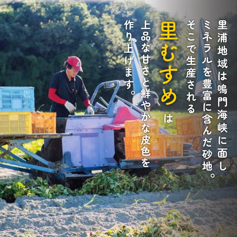 さつまいも 鳴門金時 5kg 2025年12月発送 なると金時 Mサイズ 里むすめ 芋 野菜 スイーツ スイート チップス 棒 箱 詰め 紅 甘い お菓子 金時 大学 種類 生 調理 干し芋 焼き芋 