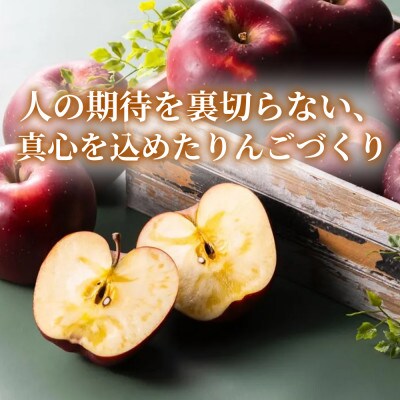 【甘くてシャキシャキ】 りんご 「シナノスイート」家庭用 約5kg (約14～20個)  青森市【配送不可地域：離島】
