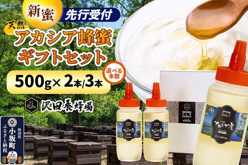 
                  《先行受付》【新蜜】はちみつ 天然十和田 アカシア蜂蜜 ギフトセット 500g【選べる本数 2本セット／ 3本セット】 [新蜜 国産 蜂蜜 はちみつ ハチミツ アカシア ギフト 贈答 朝食 沢田養蜂場]
                