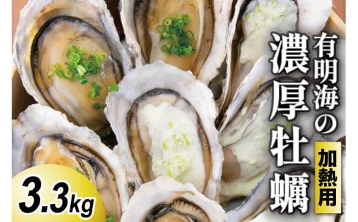 【期間限定発送】瑞穂産牡蠣 3.3kg [諫早湾漁業協同組合 長崎県 雲仙市 item2063] 牡蠣 カキ 殻付き 殻付 加熱用 冷蔵  カンカン焼き