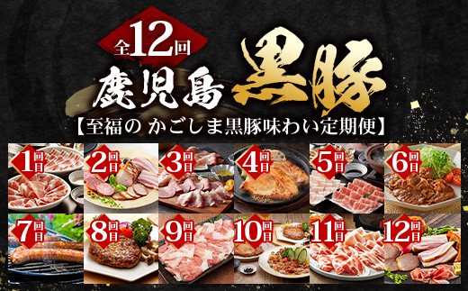 【全12回】至福の かごしま黒豚 味わい定期便 NS-37 | 鹿児島 かごしま 豚 豚肉 ぶた おかず しゃぶしゃぶ 餃子 味噌漬け 生ハム 生姜焼き ハンバーグ ウインナー ハム ソーセージ 焼き
