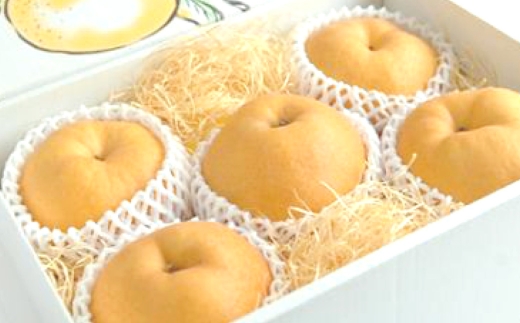 あたご梨 約3kg （ 3～5玉 ） 梨 贈答 くだもの 果物 果実 フルーツ なし ナシ あたご 贈答品 冬 大玉梨 完熟 【 2026年11月下旬～12月下旬発送予定 】