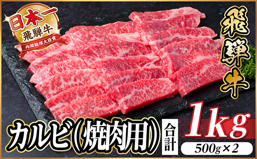 レビューキャンペーン実施中!飛騨牛　厳選カルビ(焼肉・BBQ用)1kg　A4〜A5等級　小分け【配送不可地域：離島】【1487353】