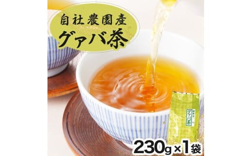 
                  KU114 宮崎県串間市産 グァバ茶 (230ｇ×1袋) 自社農園産100% 【宮崎果汁】
                