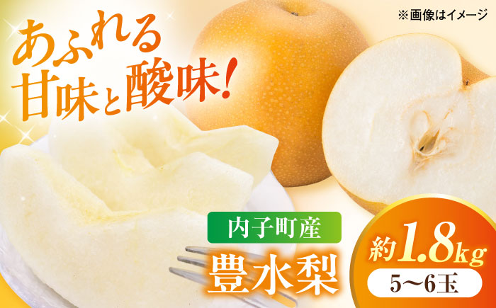 【先行予約】豊水梨【5～6玉】＜2026年8月下旬から発送＞【北海道・沖縄配送不可】 ／ 梨 なし ナシ 和梨 果物 フルーツ 国産 産地直送【株式会社フジ・アグリフーズ】 [BKAY022]