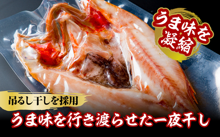 きんき一夜干し ABBW006