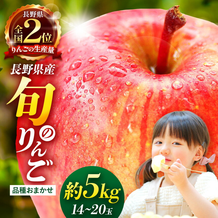 【ふるさと納税】松本市産りんご【品種おまかせ】約5kg (14～20玉)【秋映・シナノスイート・シナノゴールド・サンつがる・サンふじ】 | ふるさと納税 果物 くだもの フルーツ サンふじ 秋映 シナノスイート サンつがる サンふじ リンゴ りんご 林檎 信州産 長野県 松本市