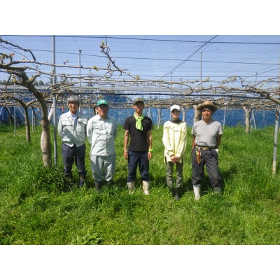 【限定30口】梨『幸水』5kg　2026年8月上旬より発送予定【配送不可地域：離島】