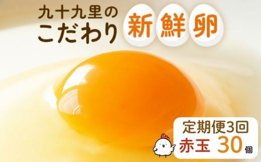 【定期便3回】九十九里ファームこだわりたまご贈答用30個～あおい海・みどりの里～《赤玉》