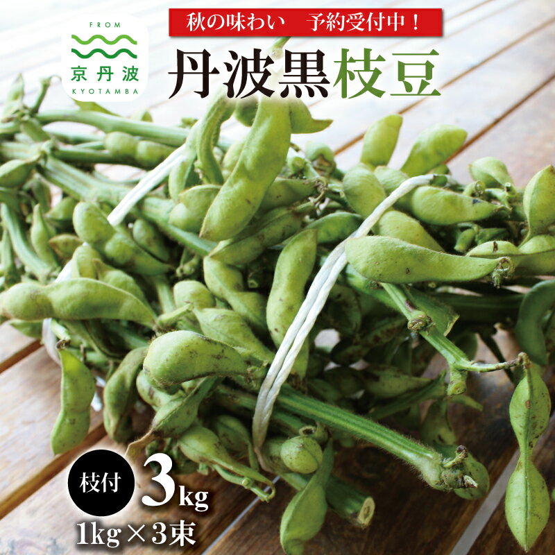 【ふるさと納税】《 先行予約 》 丹波黒枝豆 枝付き 3kg （ 京都 京丹波町産 丹波黒大豆 ）≪ 秋だけの期間限定 ≫ 【季節限定 おつまみ 枝豆 えだまめ 黒豆 ご当地グルメ 特産品】 ※北海道・東北・沖縄・その他離島は配送不可