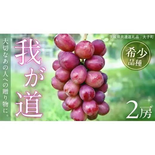 我が道 ２房【2026年9月上旬発送開始】(茨城県共通返礼品：大子町)