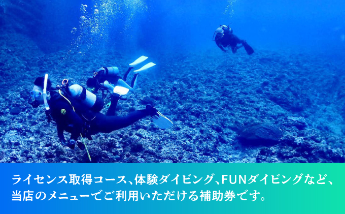 ダイビング マリンスポーツ オーシャンゲート ご利用補助券 15,000円分 | 沖縄県 宜野湾市 ふるさと納税 ふるさと | 送料無料 | 沖縄 旅行 トラベル 観光 リゾート 美ら海 | ご利用券