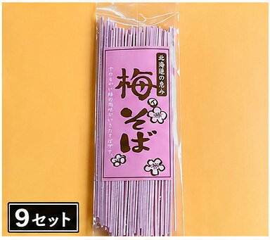 【ふるさと納税】梅そば 1食 (9セット)