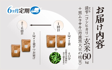 ＜令和7年10月中旬より発送！＞【6ヶ月定期】田んぼオーナーシップ6口分　清雫　玄米10kg+黒ムラサキ（丹波黒大豆の枝豆））/ ふるさと納税 田んぼ オーナー制度 米 玄米 令和7年度産 先行 定期