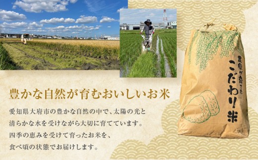 ミルキークイーン　5kg
