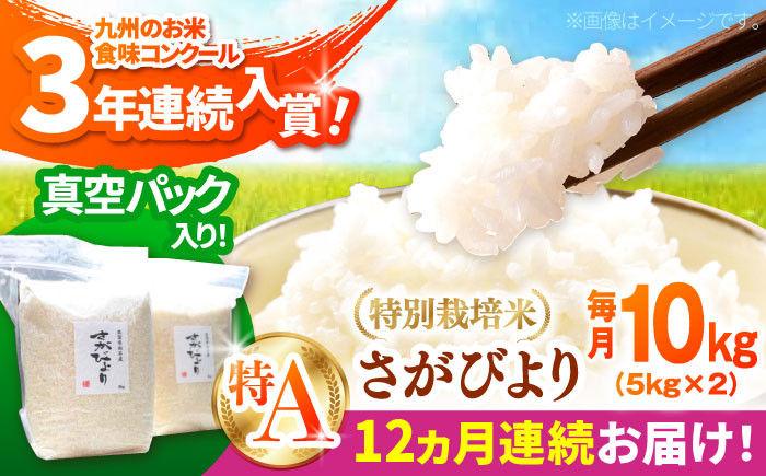 
            【先行予約】【令和6年産新米】【全12回定期便】【九州米・食味コンクール3年連続入賞！】こだわりのさがびより 10kg（白米）【白浜農産】米 お米 特別栽培米 佐賀 白石 [IBL018]
          