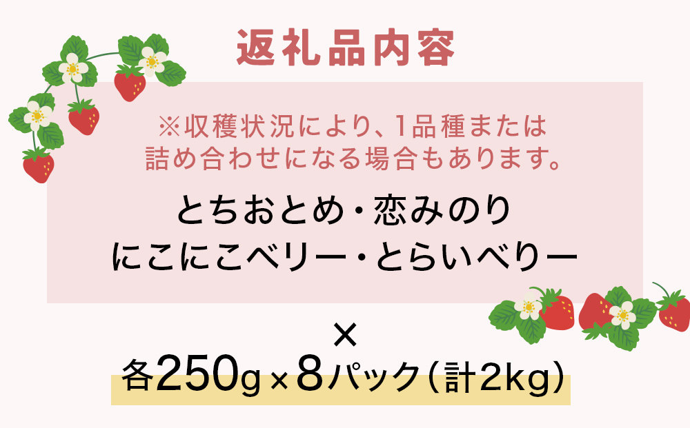【2026年1月中旬発送開始】 いちご ちおとめ 恋みのり にこにこベリー とらいべりー 250g × 8 苺 イチゴ フルーツ 果物 ストロベリー ベリー デザート 甘み 酸味 宮城県 石巻市