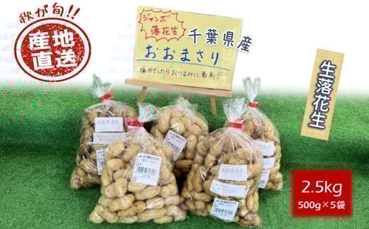 
            【今秋収穫分予約受付】落花生 おおまさり 2.5kg 殻付き 生落花生
          