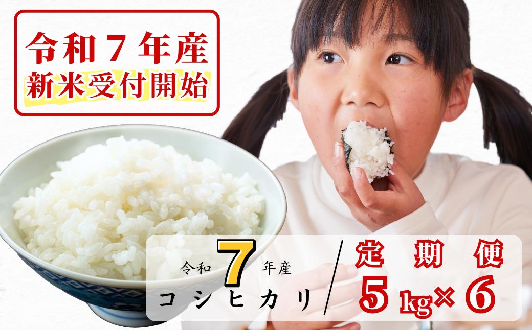 《令和7年産新米受付開始》【6回定期便】白米 5kg 令和7年産 コシヒカリ 岡山 あわくら源流米K-K-af-CEFA