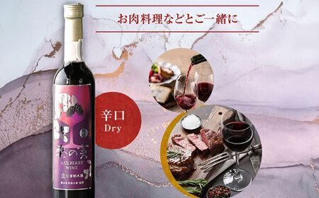 桑の実 ワイン （辛口） 500ml×1本【株式会社 峯樹木園】[AYBM005]
