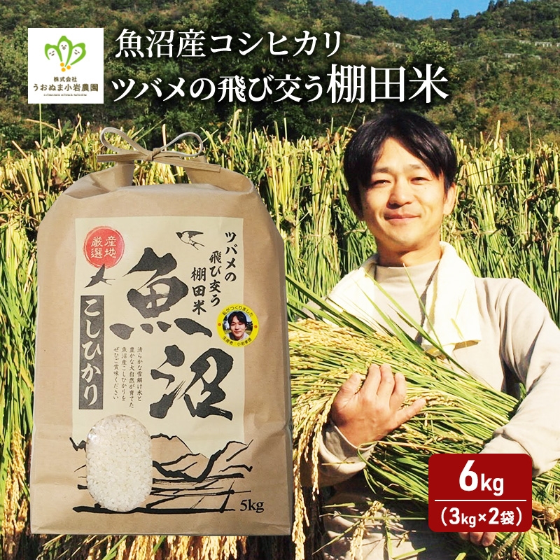 
                  [№5762-0938]令和7年産 ツバメの飛び交う棚田米 精米6kg（3kg×2袋） お米 白米 ライス ご飯 ブランド米 銘柄米 コシヒカリ 魚沼産コシヒカリ 旨味 新潟県産 魚沼市産 
                
