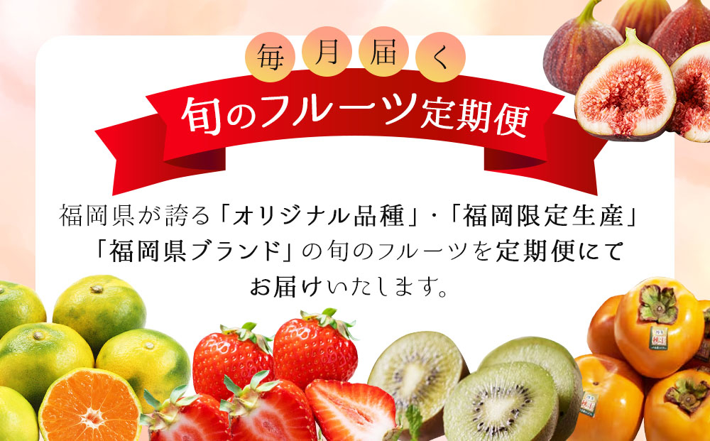 ＜5回定期便＞福岡ブランドの旬のフルーツ定期便 (篠栗町)｜イチジク ミカン キウイ 柿 イチゴ【NF019】