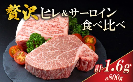 【新潟の宝】 ヒレ サーロイン ステーキ 計1.6kg ヒレ肉 フィレ サーロイン 牛肉 和牛 新発田牛 赤身 焼肉 ふるさと納税 和牛 BBQ キャンプ 特選 贅沢 厳選和牛 ブランド牛 ギフト 贈答 新潟 新潟県 新潟産 新発田 新発田市 新発田産 新潟 えのもとミート enomoto034