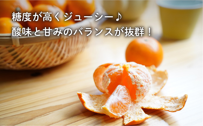 みかん 柑橘 果物 くだもの フルーツ 季節限定 先行予約 数量限定 希少 稀少 温州みかん ミカン 5kg