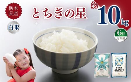 【定期便6回】栃木県産とちぎの星 10kg | お米