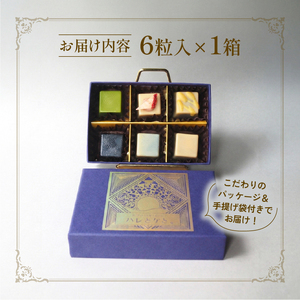 冬季発送 ローチョコレート 6個入り ヴィーガンチョコレートギフト 手提げ袋付き