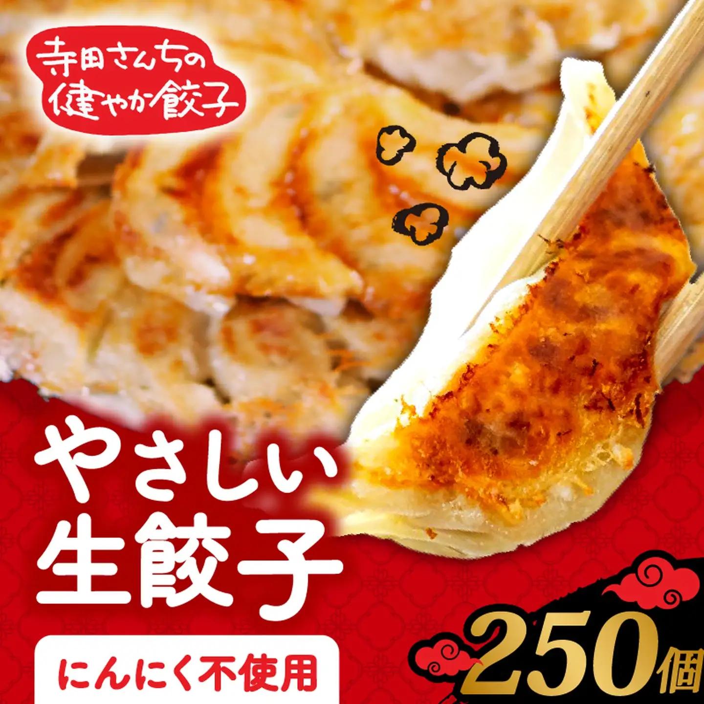 【生餃子】 にんにくなし  250個 餃子 冷凍