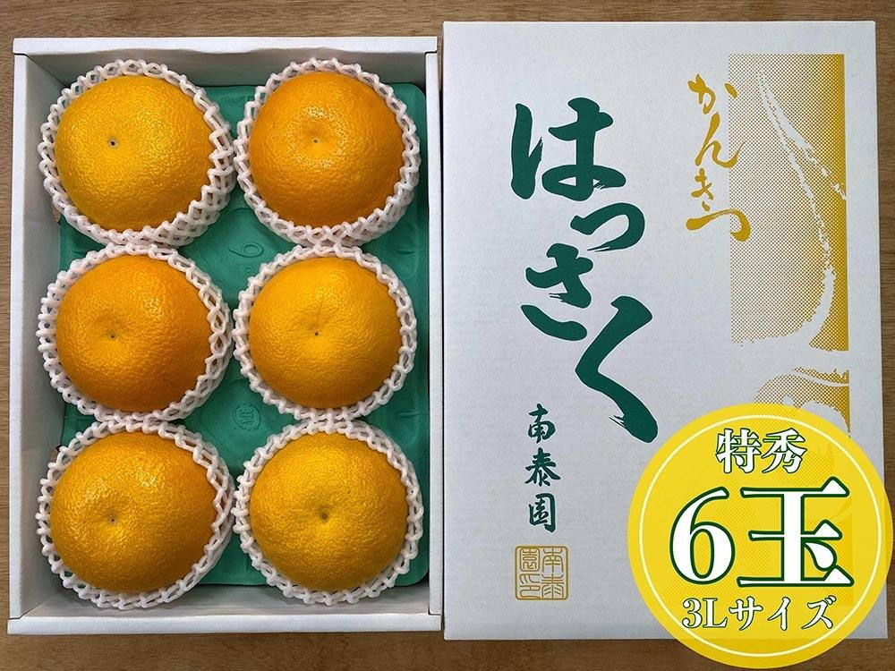 化粧箱 手詰め 有田 はっさく 特秀 大玉 3L サイズ × 6玉入 南泰園 みかん BS696