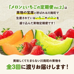 ※期間限定※【3ヶ月定期便】メロンといちごの定期便Vol.2 【 川南町産 くだもの メロン いちご イチゴ  】