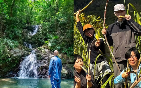 宇検村ジャングル＆村体験ツアー 1名様 奄美大島 宇検村 鹿児島県 旅行 自然 冒険 完全プライベート