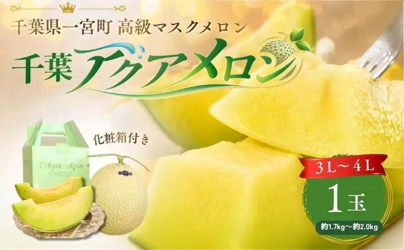 高級マスクメロン　【千葉アクアメロン】　１玉　3L～4Lサイズ　千葉県産　化粧箱入り　生産者直送