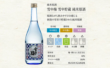 日本酒 スノーブルー雪蒼 雪中梅 720ml 2本 セット お酒 おすすめ 酒 ふるさと納税 新潟 新潟県産 にいがた 上越 上越産