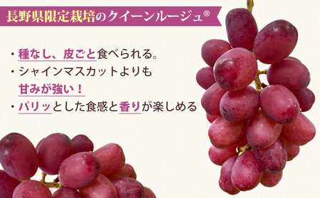 シャインマスカット＆クイーンルージュ各2房(R)　合計約2kg良品サイズ色々詰め合わせセット※2025年9月中旬～10月中旬頃発送予定 ※月曜、土曜日発送休み｜Ruga grape farm