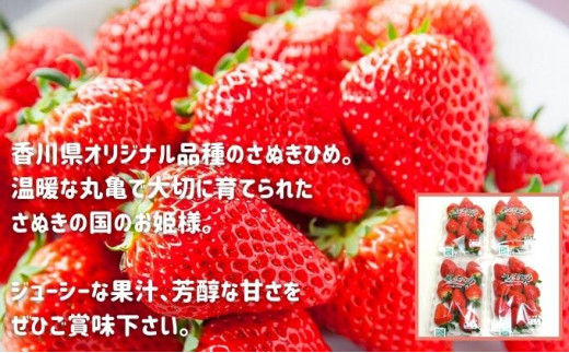 いちごのお姫様 さぬきひめ 12月中旬から順次発送 選べる容量 約250g×4パック 苺 いちご 果物 フルーツ 果物 ブランド さぬき姫 ジューシー 果汁 甘い 季節 デザート スイーツ ふるさと納