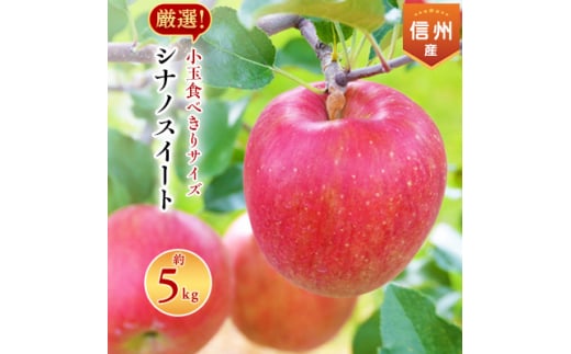 2025年!信州のりんご＜シナノスイート＞小玉　約5kg　厳選!小玉食べきりサイズ!_ りんご シナノスイート 林檎 リンゴ 長野県 信州 しなのスイート シナノ 果物 くだもの フルーツ デザート 小玉 約5kg 産直 産地直送 ギフト プレゼント 送料無料 【1265380】