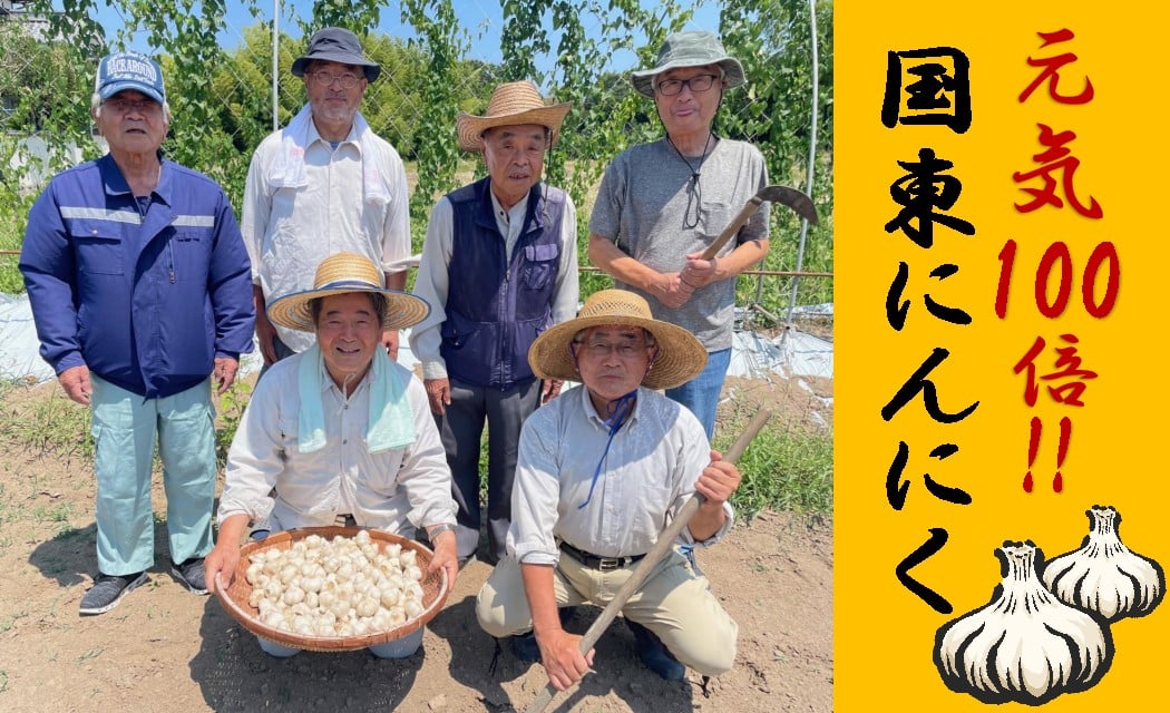 
            【訳あり】毎日食べて元気モリモリ！国東産乾燥にんにく/バラ0.8kg/こだわり減農薬栽培
          