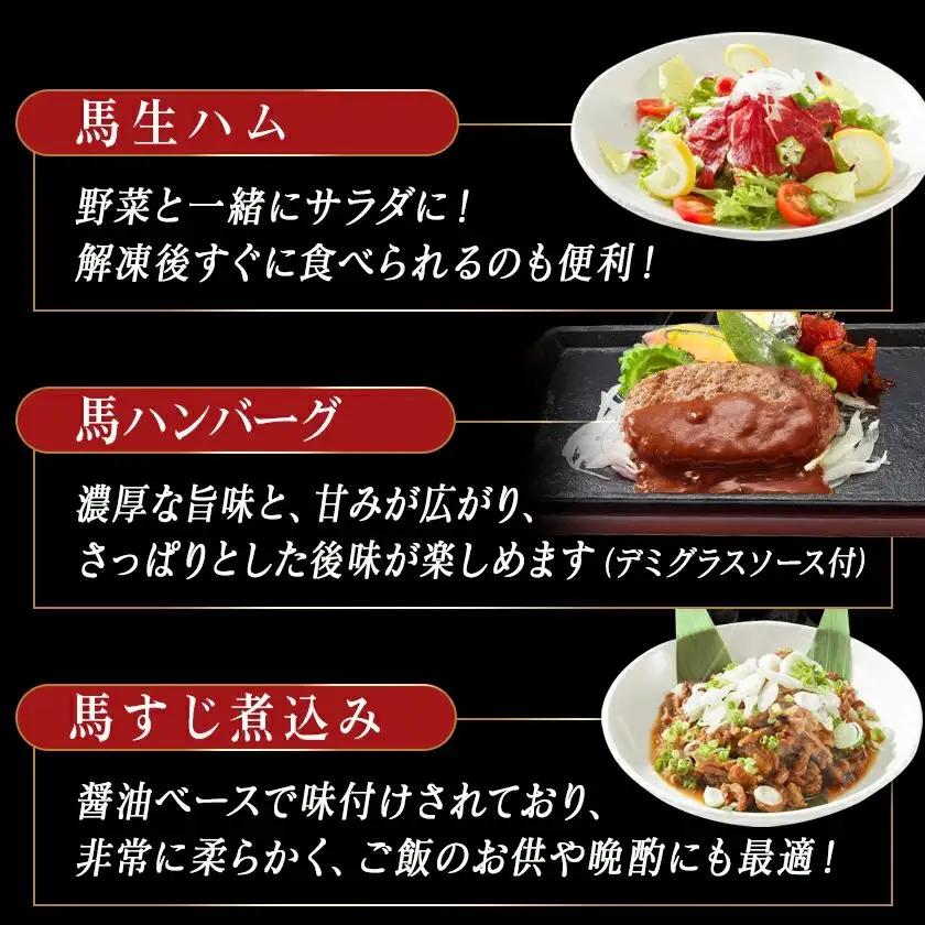 都城産馬!馬!馬尽くし定期便(10ヵ月)〔T80(10)-0101〕_(都城市) 定期便 馬刺しブロック ( ロース 赤身 タテガミ フタエゴ )  馬ハンバーグ 馬生ハム 馬すじ煮込み 10ヵ月定期