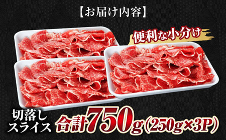 飛騨牛切り落しとスライス750g 飛騨牛 切り落としスライス[ANBO004]