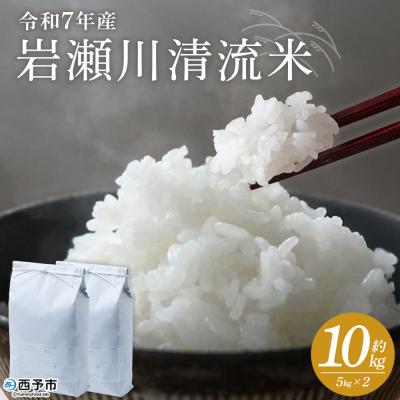 ふるさと納税 西予市 <令和8年産 岩瀬川清流米 10kg 選べる こしひかり コシヒカリ