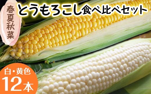
                  江別産 『春夏秋菜』とうもろこし白・黄色食べ比べセット 2026年8月上旬より順次発送 とうきび EB8-0199
                