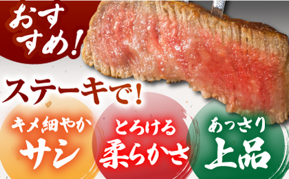 【美食家も虜になる上質な部位】＜全6回定期便＞佐賀牛ヒレステーキ 計400g（200g×2パック）【がばいフーズ】A5ランク 佐賀牛 牛肉 赤身 [HCS063]