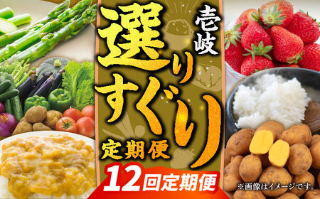 【全12回定期便】【先行予約】壱岐選りすぐり定期便【2025年10月下旬以降順次発送】《壱岐市》【壱岐市農業協同組合】野菜セット メロン ステーキ 詰め合わせ[JBO160]