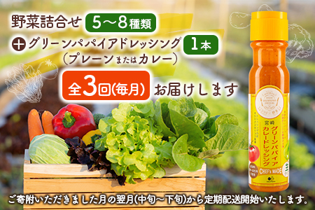 産地直送！旬の野菜（5～8種類）＆ドレッシング セット 3か月定期便 おまかせ 詰合せ 宮崎県新富町産【E213】