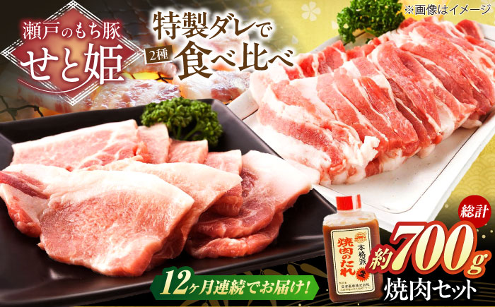 【全12回定期便】冷凍 肉「瀬戸のもち豚せと姫」焼肉セット計約700g  (バラ400g・ロース300g・自家製焼肉のタレ) 広島県福山市/日本畜産株式会社 肉 豚肉 焼肉 セット 豚バラ ロース タレ付き スライス 国産 お肉 [BAER052]