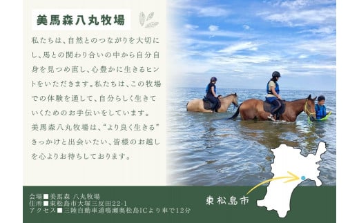 海での乗馬体験 ～ 初心者向け ～ オーシャンライディング  ペア チケット 乗馬 初心者向け 体験 海中乗馬 アクティビティ レジャー 夏休み 旅行 馬 ふれあい ペア八丸牧場  宮城県 東松島市 